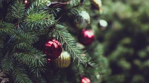 Így lesz tartós karácsonyfa